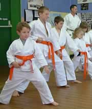 Karate in action