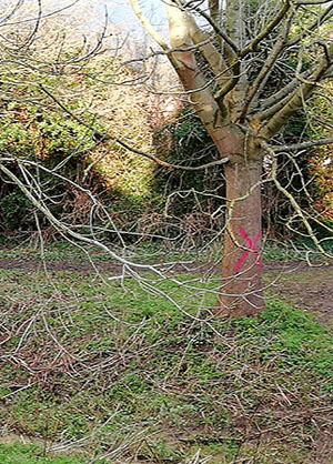 Barrow Catch Up Breachfield Road